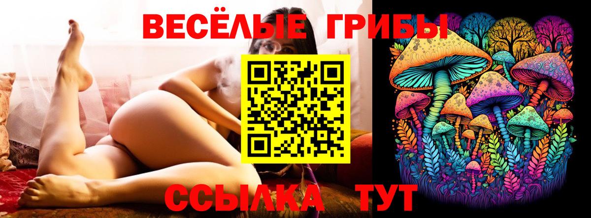 Псилоцибиновые грибы GOLDEN TEACHER  как найти закладки  Качканар  Вход с VPN 
